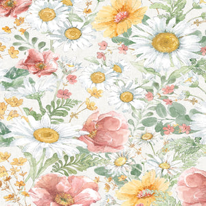 Daisy Days Cream Packed Floral