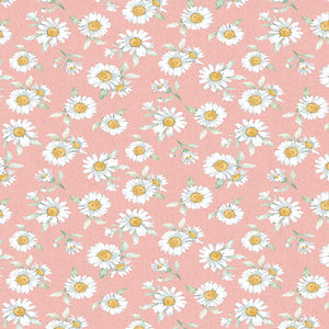 Daisy Days Pink Daisies