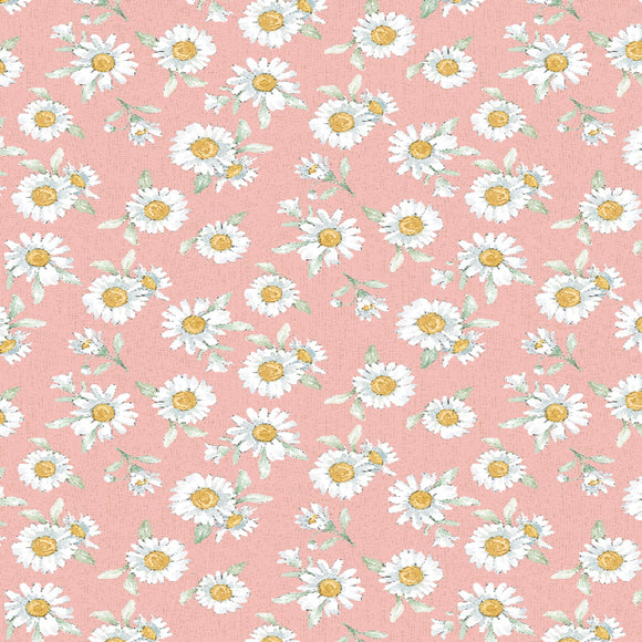 Daisy Days Pink Daisies