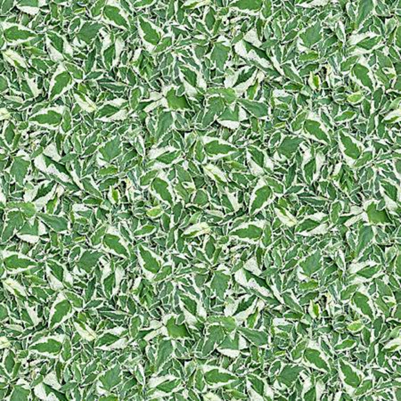 Hand Picked Christmas Mistletoe Snow Yardage