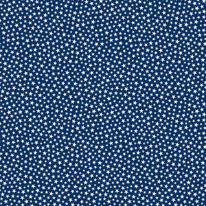 Star-Spangled Beauty Navy Star Quilt