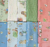 Peter Rabbit™ Fat Quarter Bundle 10pcs