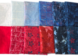 Expressions Stars and Stiches Fat Quarter Bundle 12pcs