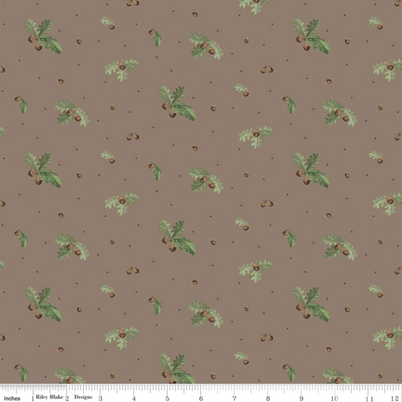 Lets Get Lost in the Woods Acorns and Leaves Pebble