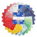 Simple Pleasures 10" Stacker 42pcs