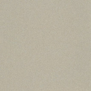 Maywood Studio Starlight Metallic Champagne