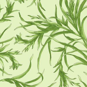 Sommersville Soft Green Leafy - Fuller Fabrics